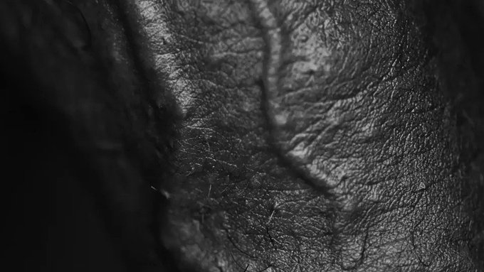 PENIS PORTRAITS / A new book project I'm working on for 2020... Still looking for more volunteers who