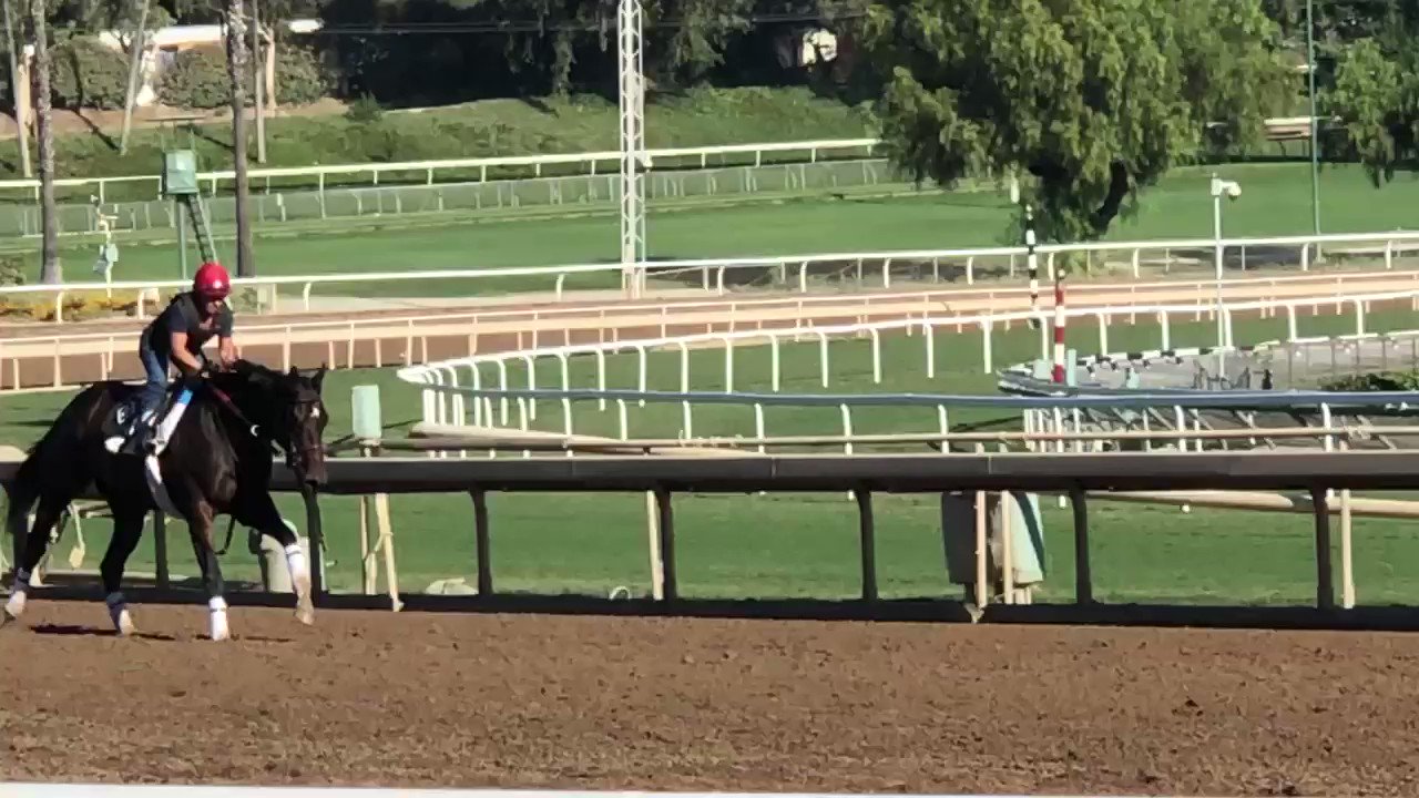 Matt Denny’s Ale House Restaurant (@Matt_Dennys) / Twitter