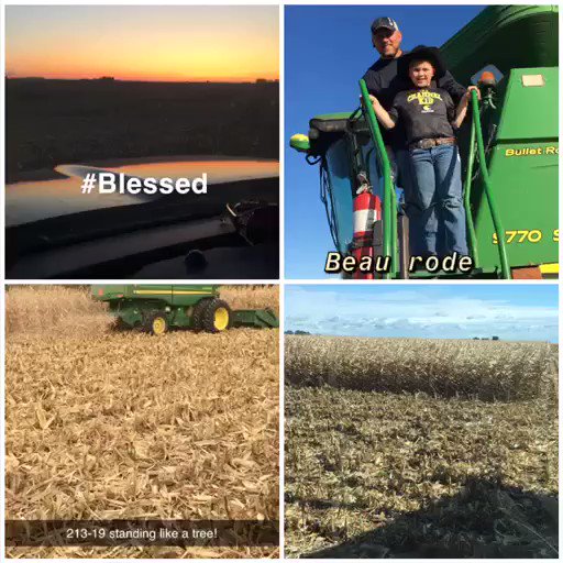 Super #Blessed that @kelsvrbka & I were able to purchase a couple farms from my father & his siblings this past year after my Grandma passed away. Both farms are part of my 5th generation. So proud after finishing them up & thinking what grandpa would say. 1/2
