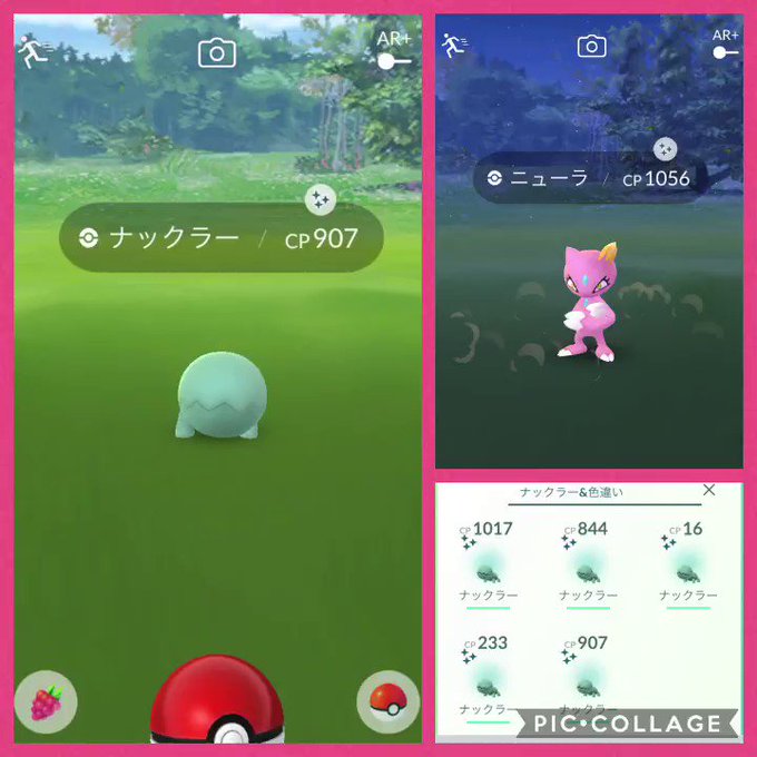 ポケモンgoで 色違いナックラー が話題に ポケgo トレンディソーシャルゲームス ポケモンgoで 色違いナックラー が話題に ポケgo トレンディソーシャルゲームス