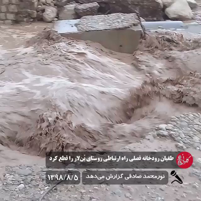Embedded video