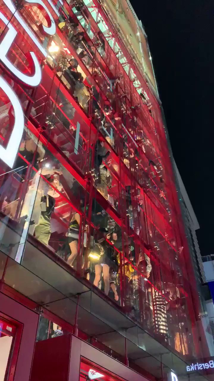 @m_aoi_ws video Tweet