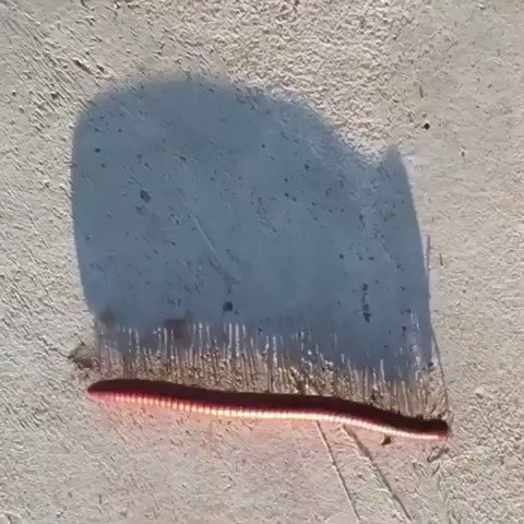 This is Awesome!