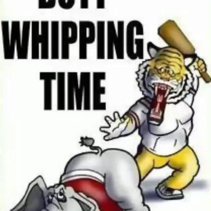 I ask why? Then I think about it and I ask the better question... WHY NOT? https://t.co/sxjfHVgVEC<a href="/tag/teamtrees"class="tags"><span>#teamtrees</span></a>