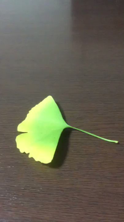 こどもと一緒にやってみたい遊び！草花あそび。自然に触れあえて、お金もかからず楽しめそうです。