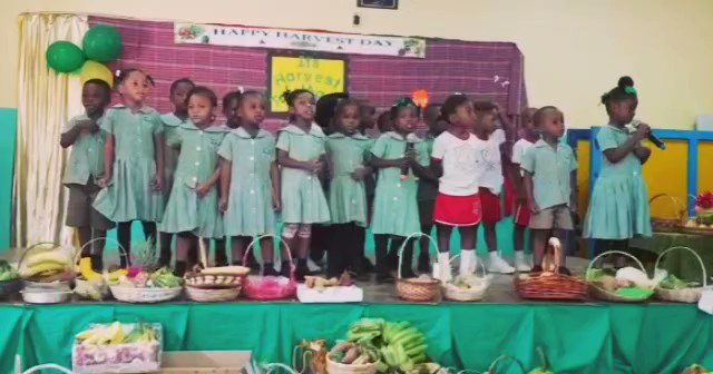 This is the sweetest Jamaica yam! Harvest Day at Amy Bailey Model Basic School last week. #gorefoundation #harvestday