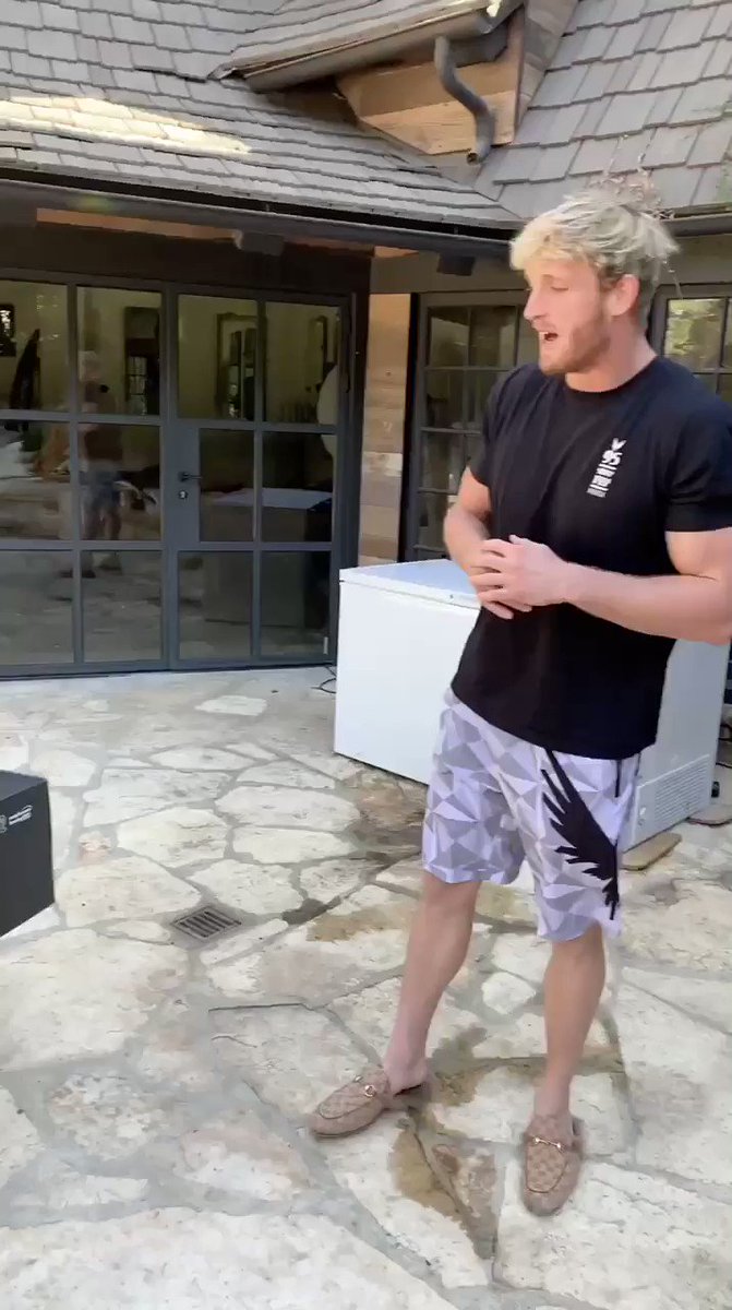 Logan paul 2024 gucci slippers