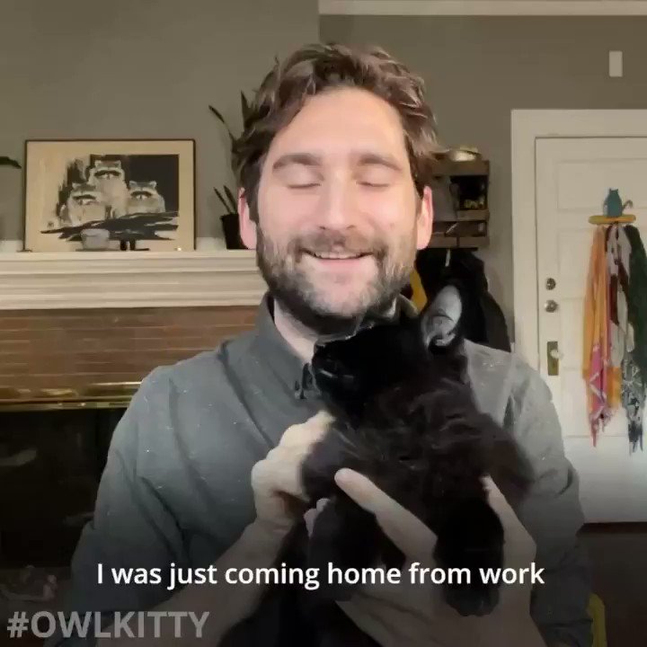 OwlKitty (@Owl__Kitty) on Twitter photo 2019-11-07 22:49:05 Behind the Scenes #OwlKitty #MNF #blackcat @NFL Behind the Scenes #OwlKitty #MNF #blackcat @NFL