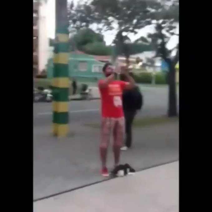 Vídeo incorporado