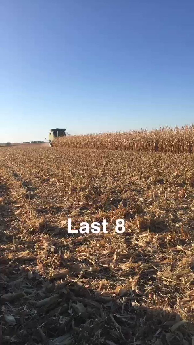 Last 8 rows of the year for our PeeWee sized farm. We were #blessed with a great year, knowing many others around the country have had a much more challenging year. Makes a guy even more #humbled than ever. #familyfarm #harvest19