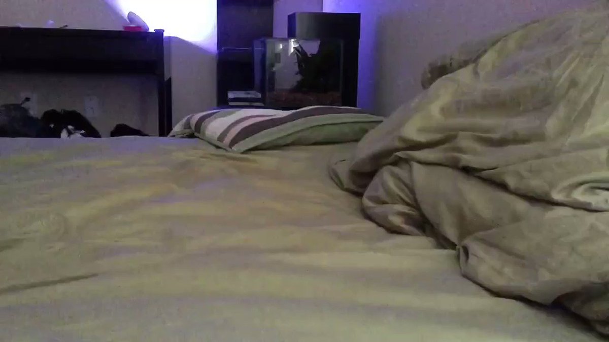 Straight friends helping hand