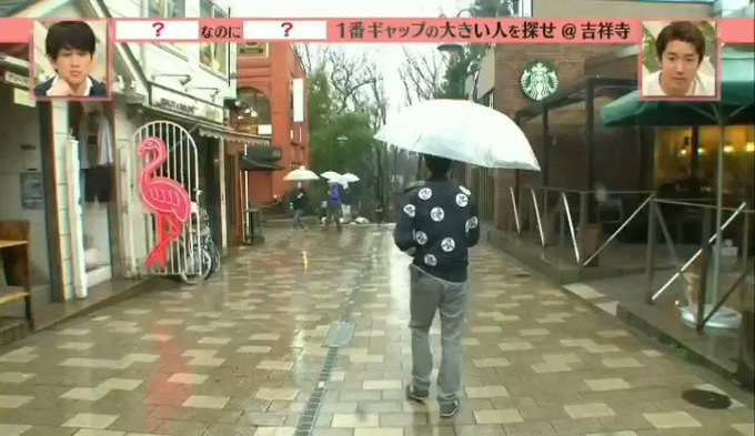 錦戸亮 X ハルカ がトレンドに Funnitter ファニッター 錦戸亮 X ハルカ がトレンドに Funnitter ファニッター