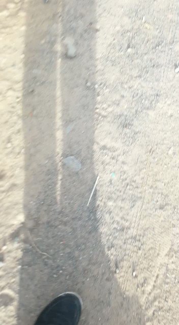 Video insertado