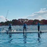 【ルージュの伝言】京都の水族館のイルカ達による合いの手が可愛すぎて話題に