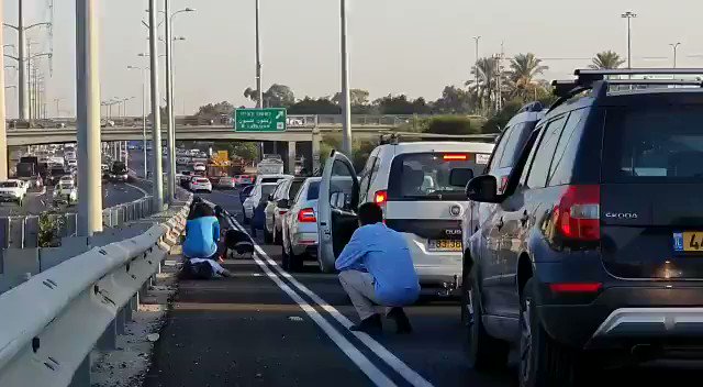 فيديو مُضمّن