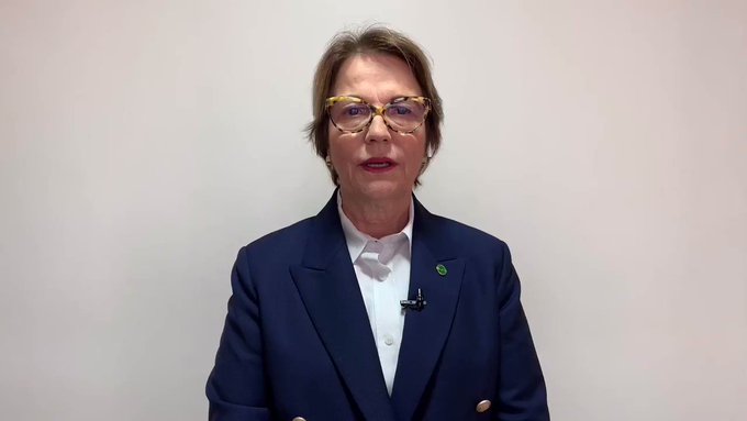 Vídeo incorporado