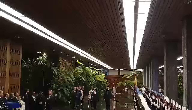 Video insertado