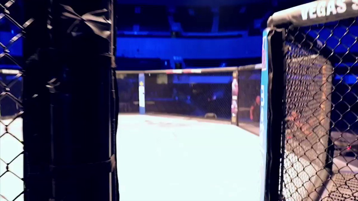 Que les parece el nuevo promo ? Gran trabajo de todo el equipo de producción !!
gracias !! #ProhibidoParpadear #UFCxFOX @SalasJiujitsu @ERIFERCA @mariodelgadorzm @FOXSportsMX