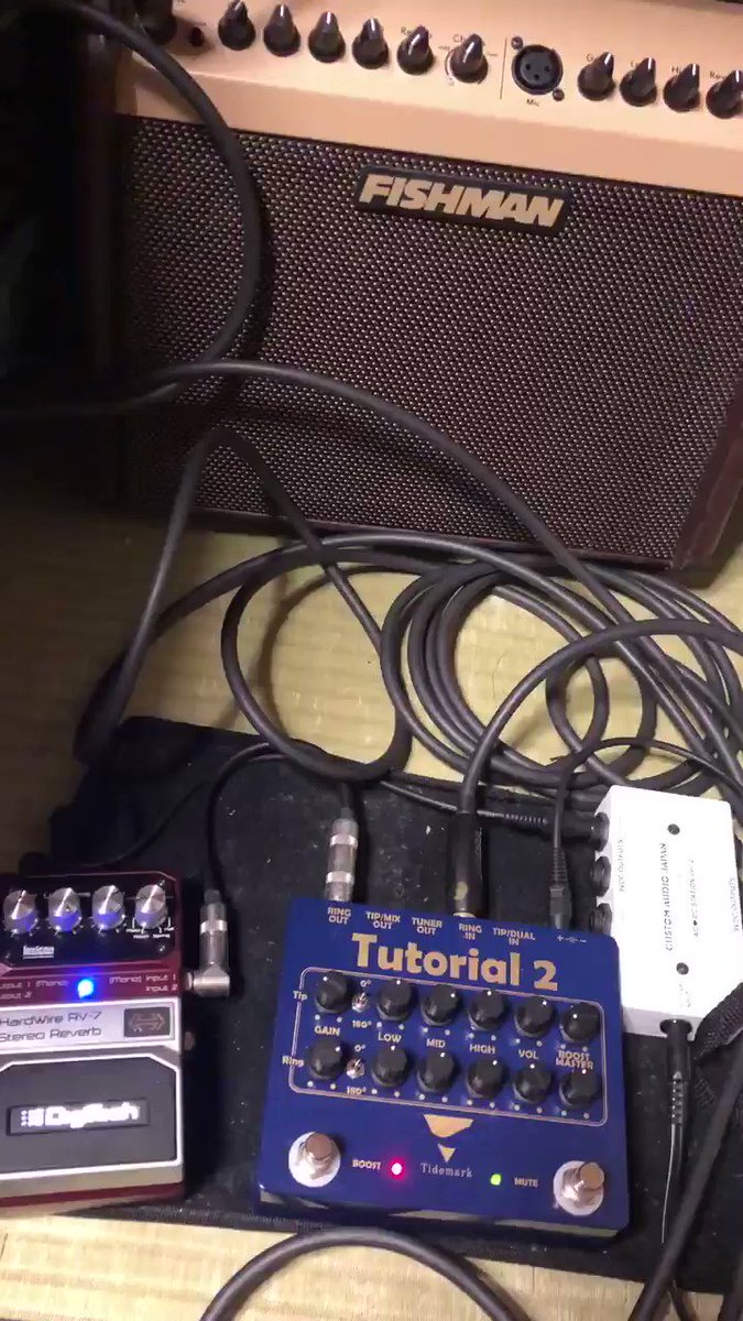 Tidemark tutorial 2 デュアルプリアンプ | www.jacobstrachotta.dk