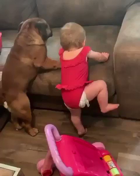 Trevor Noah (@Trevornoah) on Twitter photo 2019-11-13 15:45:08 We will struggle together but we will also win together π₯: @cesarmillan We will struggle together but we will also win together π₯: @cesarmillan