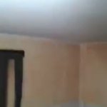 目玉のようなものが ブラジルで撮影されたエイリアン 話題の画像プラス 目玉のようなものが ブラジルで撮影されたエイリアン 話題の画像プラス