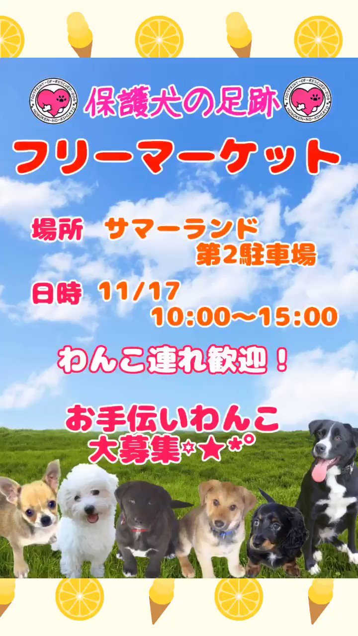 サマーランドフリーマーケット Twitter Search Twitter