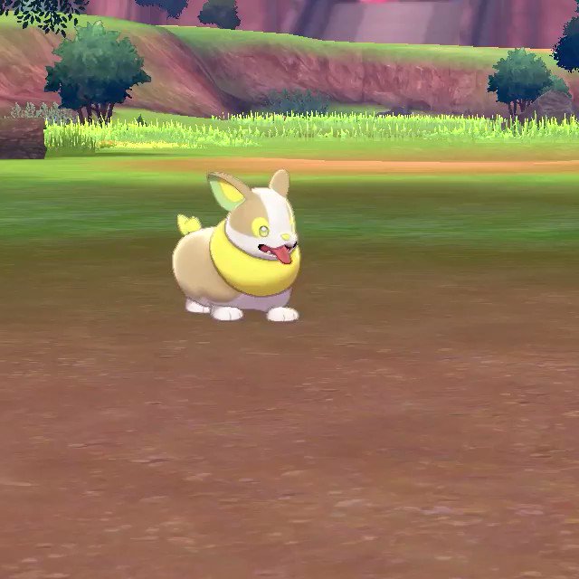 RT @CanYouPetTheDog: You can play fetch with the dog in Pokemon Sword and Shield https://t.co/T48Nqn4YFn