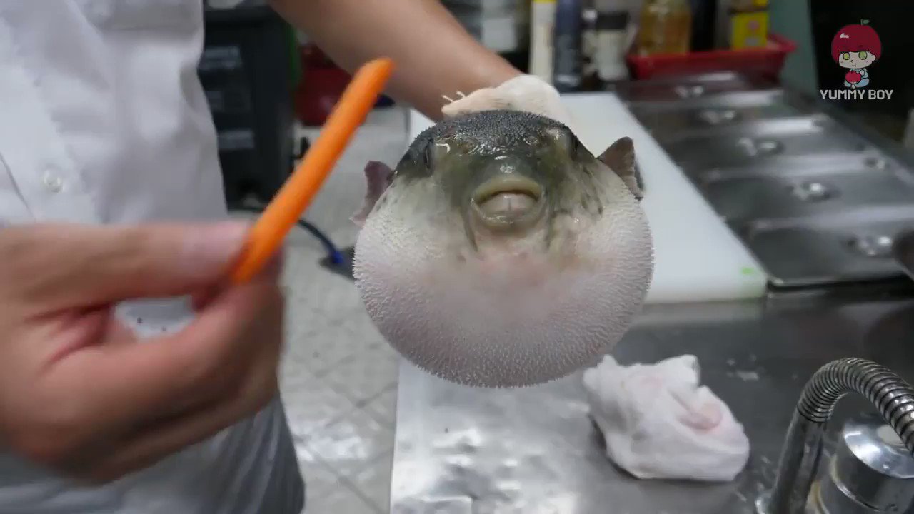 Pufferfish moan
