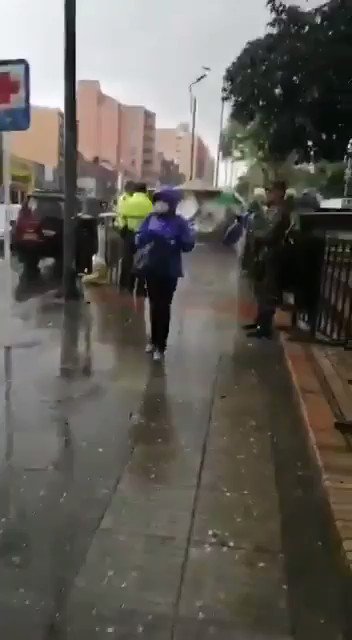 Video insertado
