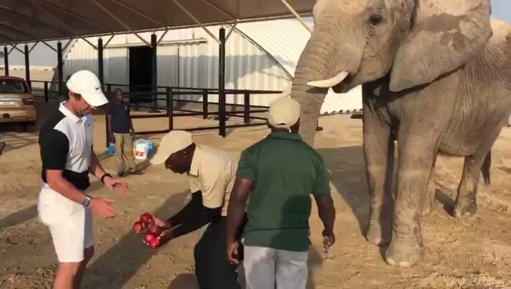 Rory McIlroy (@McIlroyRory) on Twitter photo 2019-11-19 14:27:49 Made a new friend today in Dubai π π π¦πͺ Made a new friend today in Dubai π π π¦πͺ