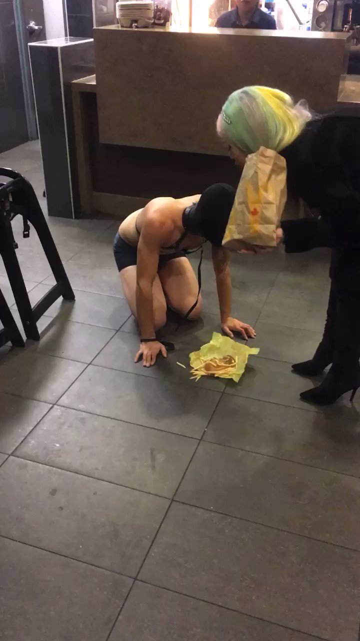 @worshipkittys video Tweet