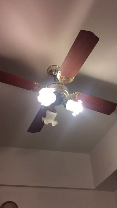 Embedded video