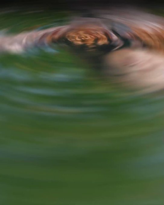 2 days and counting. #EstaNavidad https://t.co/AZsjPGcc3N<a href="/tag/estanavidad"class="tags">#EstaNavidad</a>