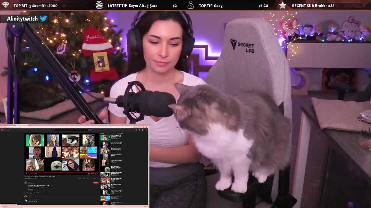 Alinity on Twitter "LuminescensePVP New asmr style 😎😂" / Twitter(03)