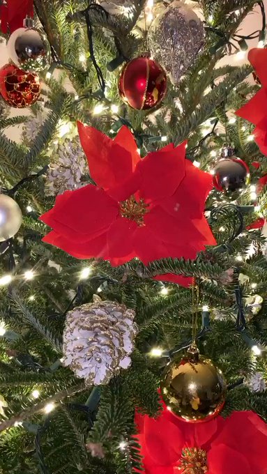 My tress is up https://t.co/4A0KrY5fdA