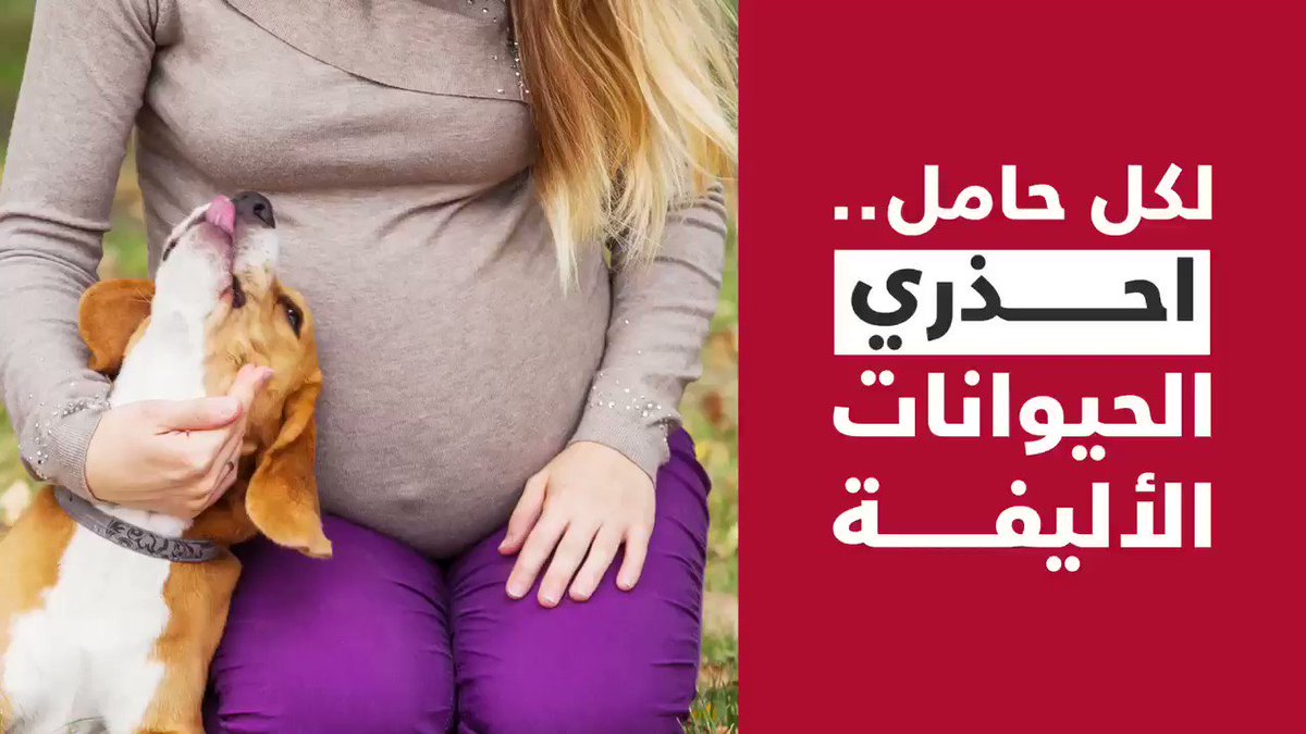 لكل حامل 🤰🏻احذري الحيوانات الأليفة .. 🐱🐶#فيديو_سبق