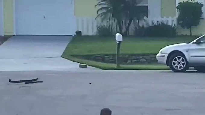 Ενσωματωμένο βίντεο