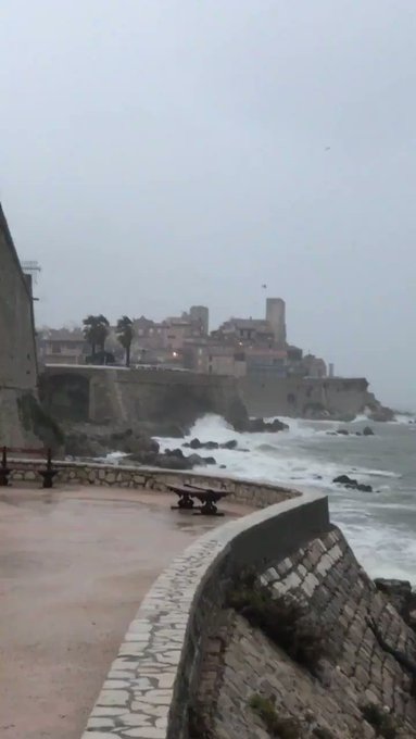 Vidéo intégrée