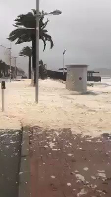 Vidéo intégrée