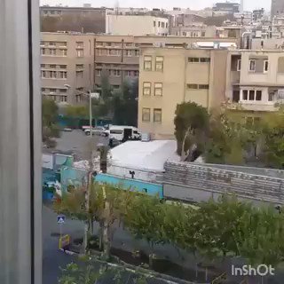 Embedded video