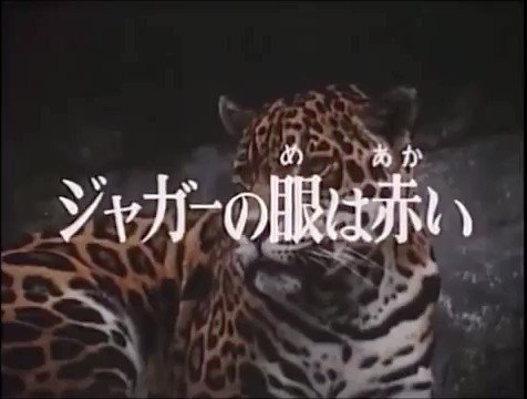 ジャガーの眼 ジャガーの眼 | 唐十郎 |本 | 通販 | Amazon