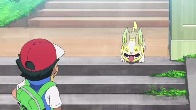 おたすけ ワンパチがただひたすらに可愛い動画 Anipoke アニポケ Pokemon T Co Uc41rjdcg6 Twitter