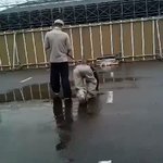 犬扱いにされているベトナム人技能研修生、こんなことありえない!