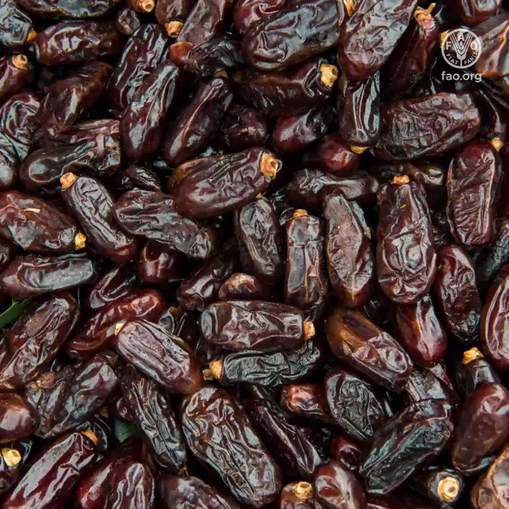 🌴Le palmier dattier est un symbole de vie au Proche-Orient et en Afrique du Nord.9️⃣0️⃣ % des dattes sont produites dans cette région. Quels sont les 3 premiers producteurs du 🌍 ?#AlimentationSaine #DièteMéditerranéenne #FAOStat