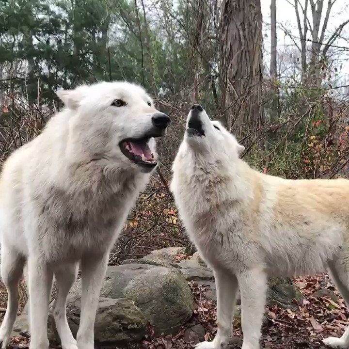 Family time!