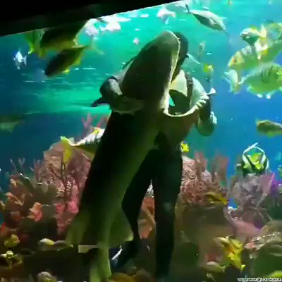 Science And Nature on Twitter