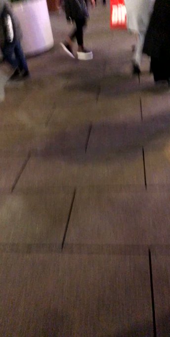 Embedded video