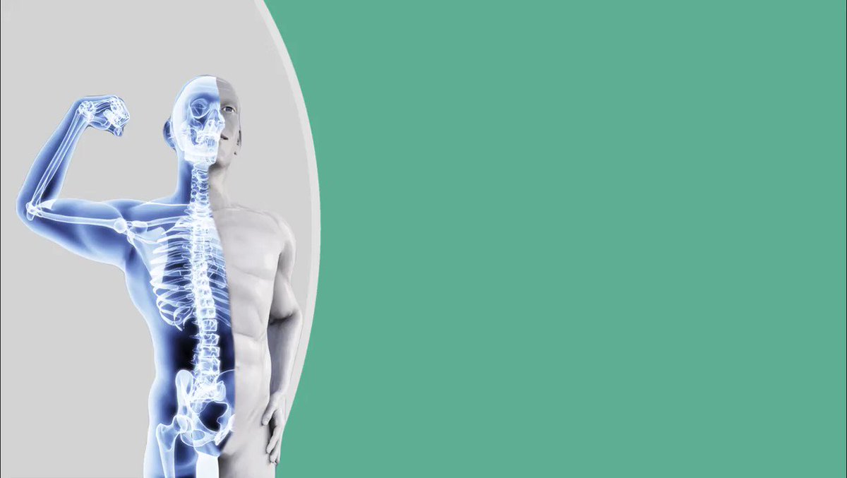 Does Masturbation Affect Muscle Gain Or Mass Gain