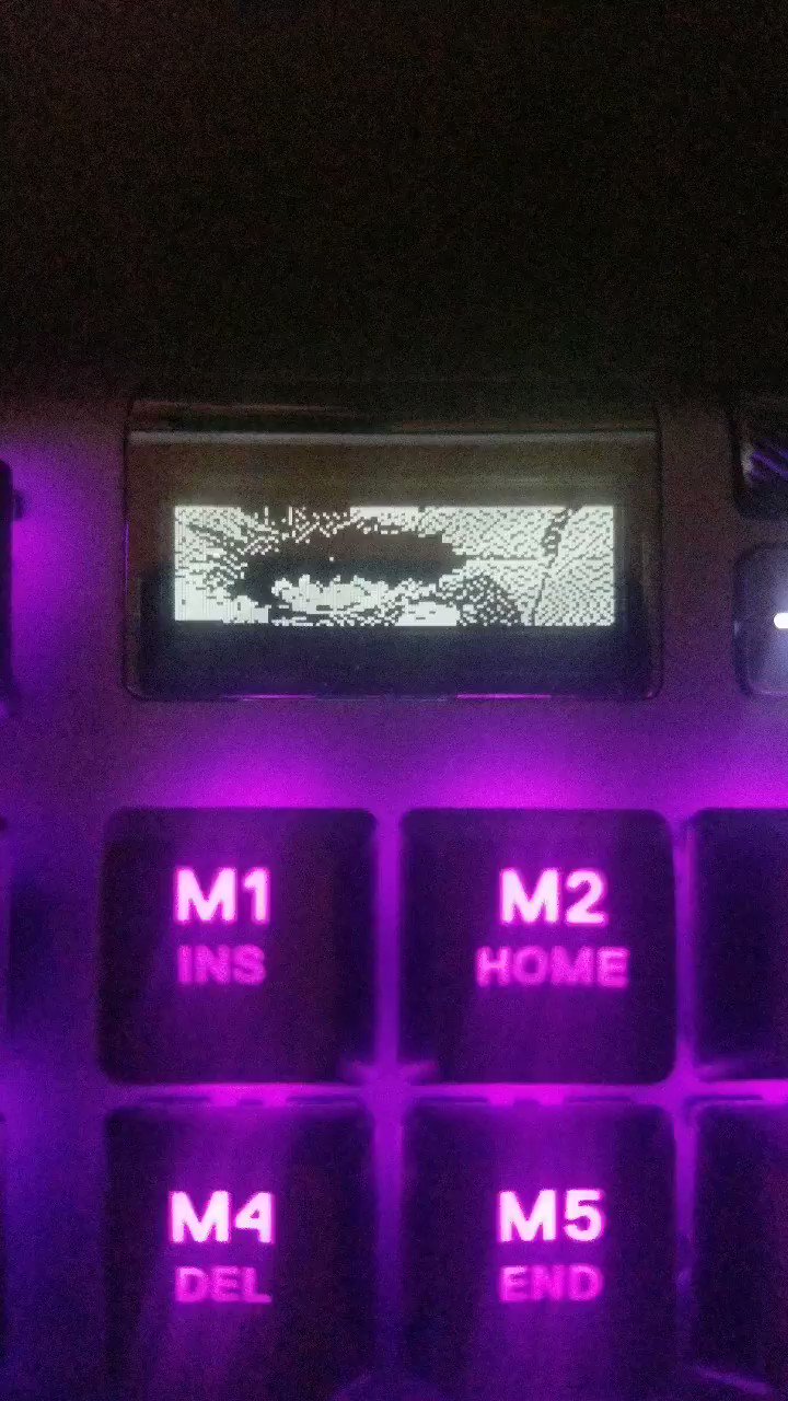 Pixlbypixl Found The Perfect Gif For My Steelseries Apex Pro Tkl I M Loving This Keyboard So Much T Co Tewoh3jbf0 Twitter