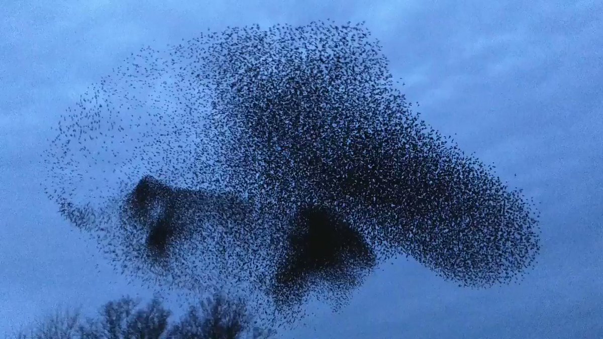 RealNatureStuff photo